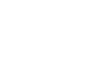skyserv