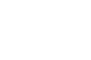 pepsico