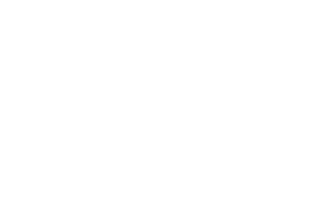 intrasoft
