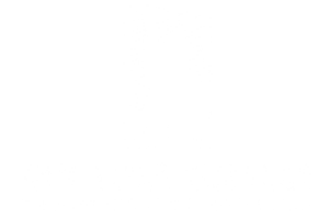 new_york_college
